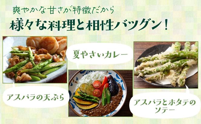＜先行予約＞【訳あり品】あまーい！北海道産夏アスパラ 4kg【ffk-008】北海道 伊達市 野菜 新鮮 アスパラガス ふるさと納税 送料無料