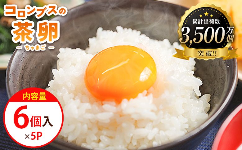 たまご コロンブスの茶卵 6個入×5P 卵 生卵 茶卵 濃厚 卵黄 卵白 生臭みなし 透明感 卵かけご飯 たまご 玉子 朝ごはん オムライス 鶏卵 国産 kl-0004