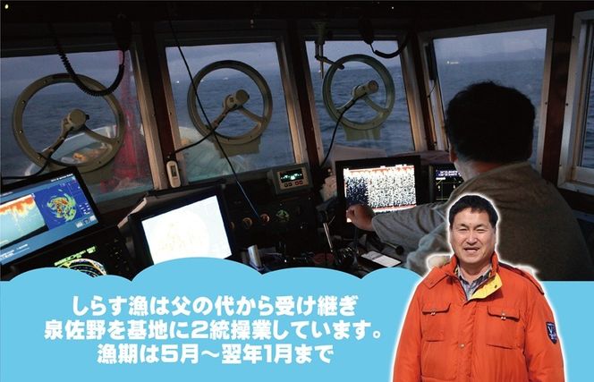 G2184t 【お中元対応】ちりめん山椒しらす 600g【小分け 150g×4P シラス しらす sirasu 海鮮 人気 おすすめ 産地直送】