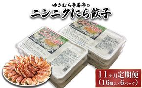【11ヶ月定期便】ゆきむら壱番亭のニンニクにら餃子6パック(96個入り) ※離島への配送不可
