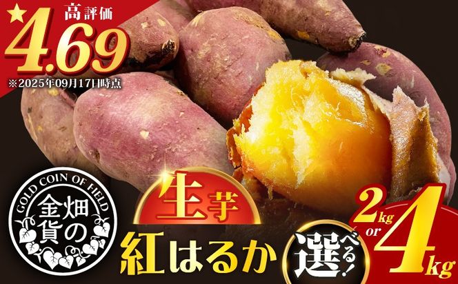 yszy2025Nstz̋  g͂邩 eʂIׂ@2kg or 4kg@K181-004