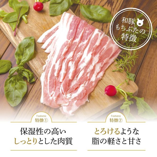 【定期便 3回】和豚 もちぶた 豚ばら スライス 200g×5 (1kg) 豚肉 ポーク 肉 豚 国産 宮城県産 小分け バラ肉 スライスカット 豚バラ肉 豚バラスライス大容量 ストック