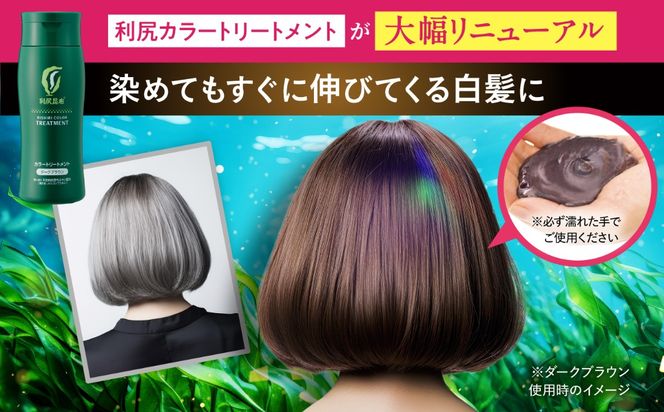  【選べるカラー】利尻カラートリートメント糸島 / 株式会社ピュール [AZA022] トリートメント 白髪染め カラートリートメント