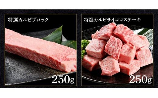 【CF-R7hbk】土佐和牛詰め合わせ6種（合計1.5kg）1.5キロ 赤身ブロック サイコロステーキ ロース カルビ ヒレ ブロック肉 特選 赤身 牛 牛肉 和牛 国産 天下味 エイジング工法 熟成肉