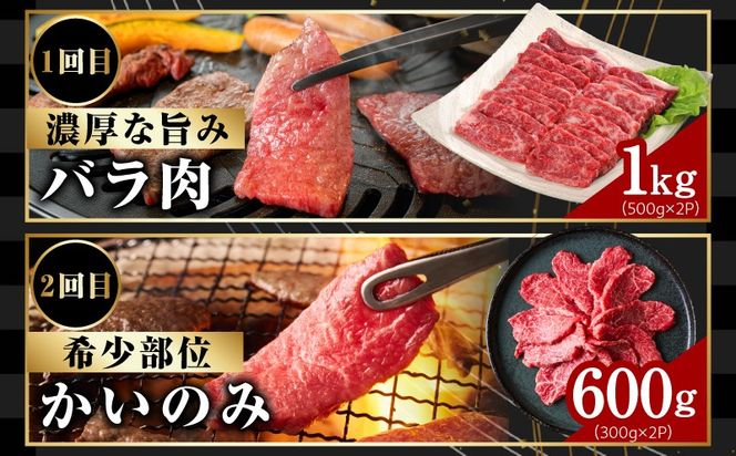 mrzZ105 【定期便】黒毛和牛 定期便8万円コース【小分け 焼肉 しゃぶしゃぶ ステーキ 簡単調理 BBQ 牛肉 黒毛和牛 味付き】
