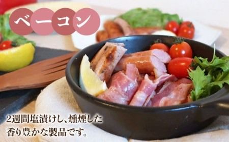 【年内発送】 ＼DLG金賞・銀賞受賞！／糸島の陽光 ハム 5種 セット 4 《糸島》 【志摩スモークハウス】ハム ソーセージ 食べ比べ [AOA004] 詰め合わせ ギフト ソーセージ ハム 詰め合わせ