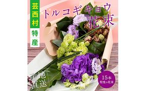 【CF-R7hbk】JJM005　《先行予約》芸西村特産 トルコギキョウ花束（約15本程度の花束）
