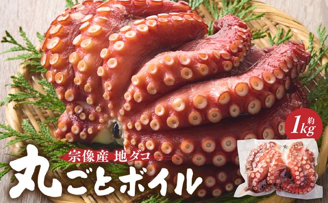 宗像産地ダコ丸ごとボイル【約1kg】【マルケイ】_HA0997