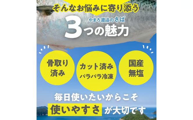 ＜定期便・全3回 (隔月)＞ 訳あり・業務用さば 切り身 (総計約3.6kg・40g前後×90切) 訳あり 業務用 さば 切り身 セット 冷凍 国産 切身 魚 海鮮 おかず 骨抜き 骨なし 骨取り 鯖 お弁当 惣菜 簡単調理 無塩フライ 塩焼き 味噌煮【AQ92】【やまろ渡邉】