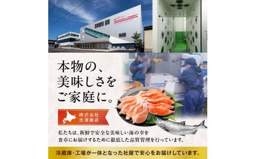 鱒いくら醤油漬け 250ｇ×2ﾊﾟｯｸ_HD231-012