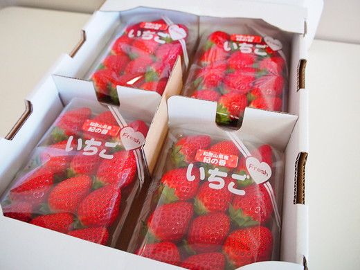 【先行予約】 紀州和歌山産 ブランド いちご 「紀の香」約250g×4パック（計約1kg）