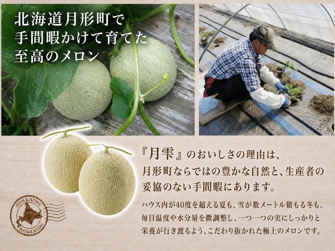〈先行受付〉【2027年夏発送】北海道 青肉メロン 月雫 秀品 2玉 約1.6kg 計約3.2kg以上 令和9年 メロン 果物 フルーツ 旬 季節 希少 甘い 豊潤 国産 北海道産 デザート ご褒美 産地直送 ギフト お祝い 贈答品 贈り物 お取寄