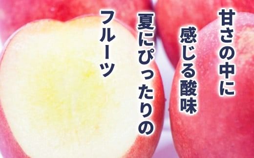 信州須坂の桃 旬のネクタリン 特秀品 約3kg (約11～20玉) 《黒岩果樹園》■2025年発送■※7月上旬頃～9月上旬頃まで順次発送予定