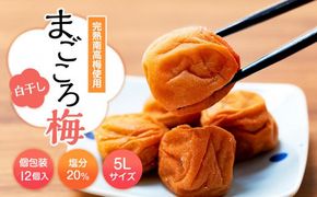 まごころ梅 白干し 塩分20％ 5Lサイズ 個包装 １２個入り 304018_CS001