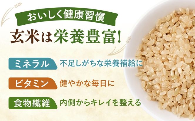 ＼大容量／ あいちのかおり 玄米 30kg お米 玄米 愛西市 / 日栄トラクター【配送不可地域：北海道・沖縄・離島】[AEDM001]
