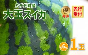 【 先行予約 2026年6月中旬以降発送開始】 令和8年産 八千代町産 大玉 スイカ 優以上 L1玉 （約 6kg ） 味の香 期間限定 産地直送 果物 フルーツ 西瓜 スイカ すいか 西瓜 甘い 夏 [AX017ya]