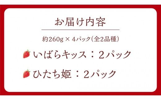 【 茨城いちごグランプリ 受賞 農園 】 完熟 いちご 2品種 食べ比べ セット 茨城県オリジナル品種 イチゴ 苺 フルーツ 果物 果実 いばらキッス ひたち姫 [DY002ci]