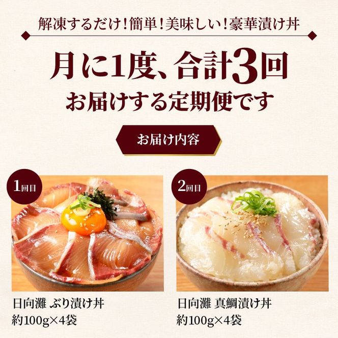 日向灘 海鮮丼 漬け丼 お魚の漬け丼 バラエティ3回定期便　N019-YC712