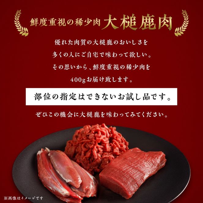 【ジビエ】大槌産 鹿肉 400g｜岩手県 大槌ジビエ いわて iwate 三陸 MOMIJI【0tsuchi00458】