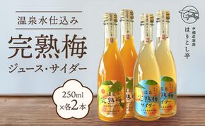 梅ジュース＆梅サイダー　250ml×各種２本　中棚温泉　長野　信州　小諸