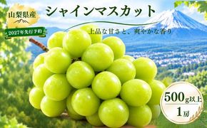 【2027年先行予約】　シャインマスカット500g以上（1房）　FB036