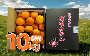 【訳あり】有田みかん 約10kg 家庭用 	EY002