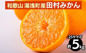 【先行予約】 田村みかん 約5kg 【2Sサイズ】 和歌山県 湯浅町 田村地区産
