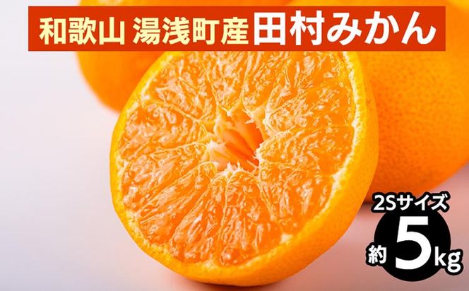 【先行予約】 田村みかん 約5kg 【2Sサイズ】 和歌山県 湯浅町 田村地区産
