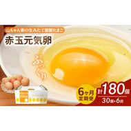 【6ヶ月定期便】【山ちゃん家の生みたて葉酸たまご】赤玉元気卵（30個入り）［132Y06-T］