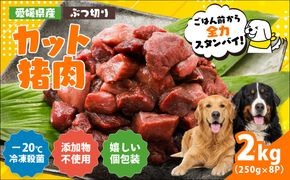 【愛犬用】カット猪肉（ぶつ切り）2kg（250g×8P）＜ペット ペットフード 犬 ワンちゃん個包装 餌 毎日 ジビエ 犬用 おやつ 猪肉 愛媛県産 鬼北町 ドッグフード 冷凍殺菌 特定非営利活動法人Cambio＞