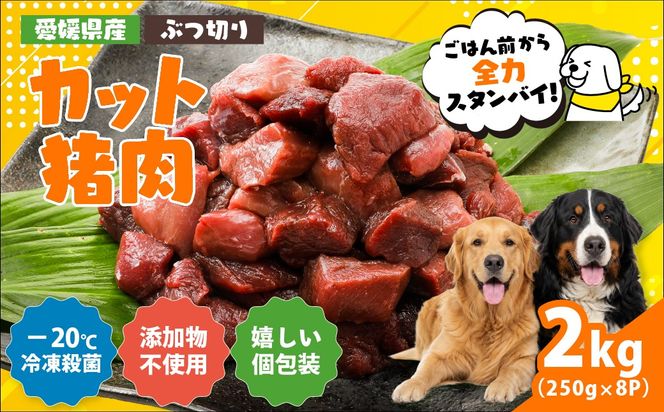 【愛犬用】カット猪肉（ぶつ切り）2kg（250g×8P）＜ペット ペットフード 犬 ワンちゃん個包装 餌 毎日 ジビエ 犬用 おやつ 猪肉 愛媛県産 鬼北町 ドッグフード 冷凍殺菌 特定非営利活動法人Cambio＞