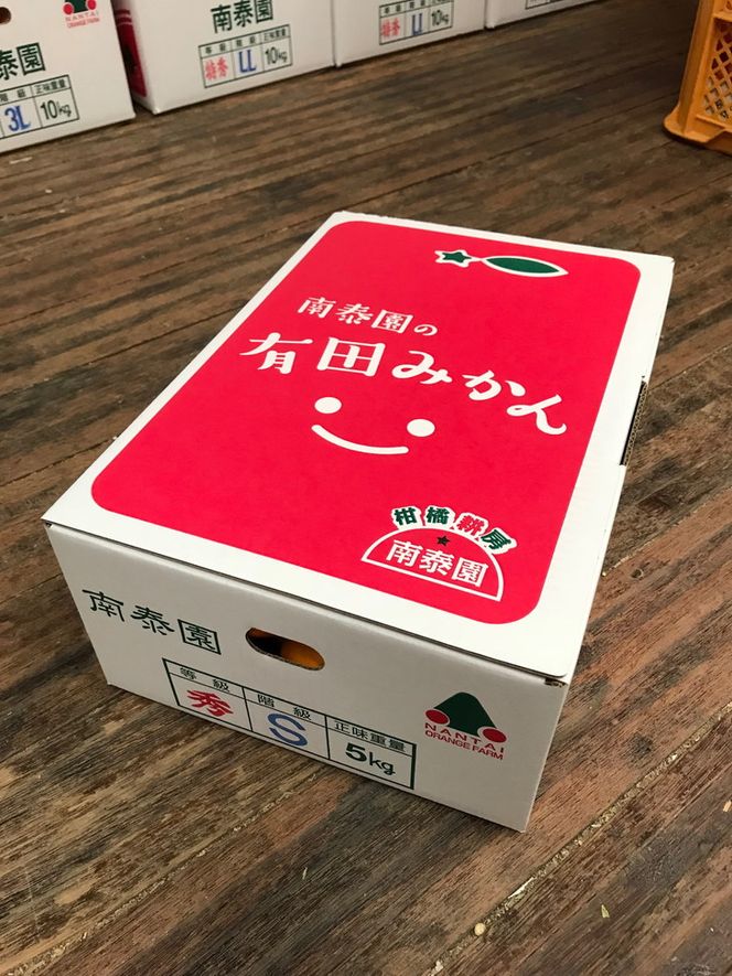 【ちょっと傷あり】極早生・有田みかん 約5kg (SまたはSSサイズ)_ZF6005n