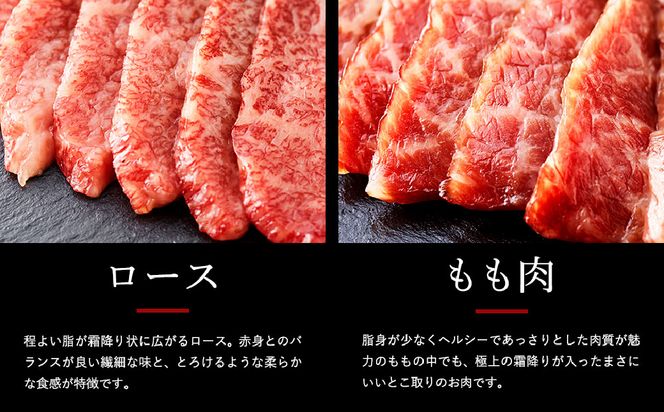 希少部位入り！極上但馬牛 焼肉セット 3種盛り【ロース モモ 希少部位1種 合計600g】牛肉 焼肉 セット 焼き肉 お肉 牛 肉 但馬牛 黒毛和牛 霜降り【但馬ビーフはまだ】【ご好評につき1月以降順次発送】
