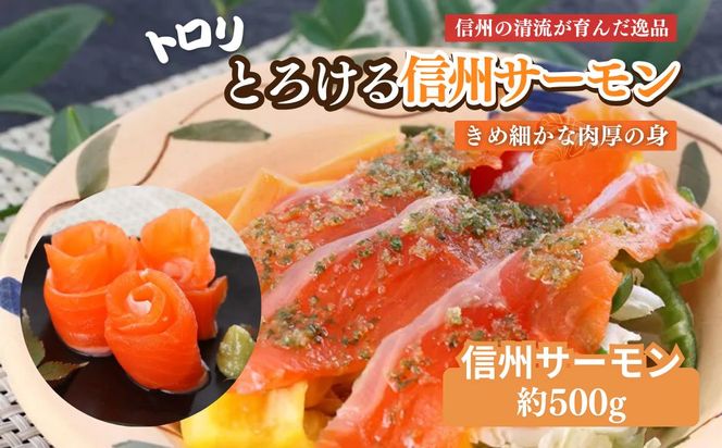 サーモン 生食用 信州サーモン (虹鱒×ブラウントラウト) 約500g スライス 刺身 生 鮭