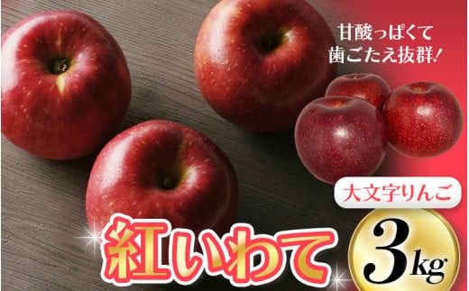 【令和7年度分予約受付】大文字りんご園 紅いわて 約3kg(7～10玉)【2025年9月下旬頃より順次発送】/ りんご リンゴ 林檎 果物 くだもの フルーツ 甘い 旬 産地直送 予約 先行予約【dma513-bi-3C】