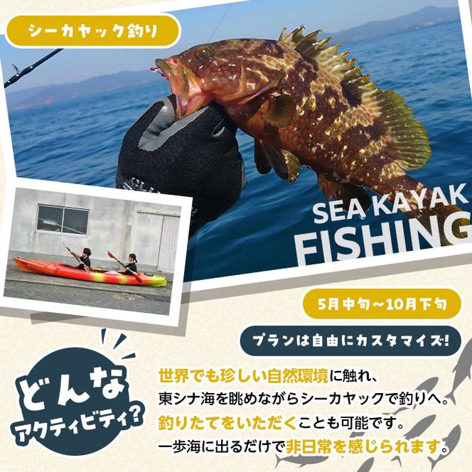 期間限定実施『パズル』オリジナル！シーカヤック釣り体験チケット(半日/1名) 阿久根 釣り シーカヤック アウトドア アクティビティ 自然 体験 ツアー チケット 海 マリンスポーツ 魚【パズル】akn098-03