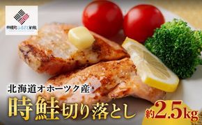 【先行受付】 北海道オホーツク産 時鮭切り落とし 約2.5kg （2025年11月中旬より順次発送） BHRI027