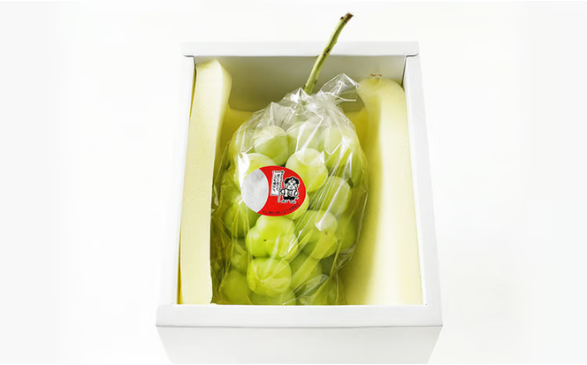 ぶどう 2026年 先行予約 桃太郎 ぶどう 1房（700g以上）化粧箱入り ブドウ 葡萄 岡山県産 国産 フルーツ 果物 ギフト 大粒 種なし 果汁たっぷり 酸味 甘さ バランス [№5735-1471]