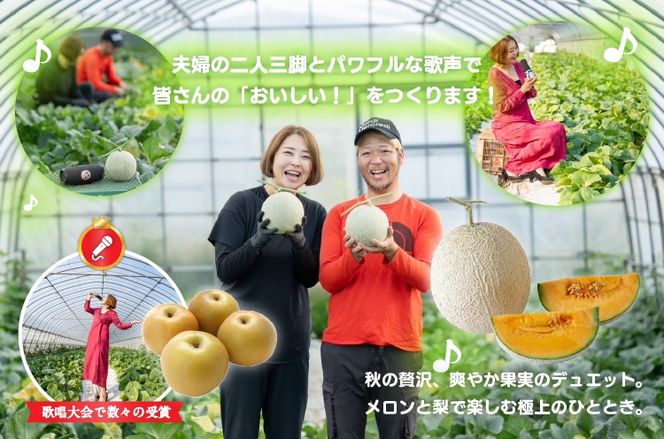 【ふるさと納税】【赤肉系メロン】プリモレッド (メロン) と旬の梨セット ※離島への配送不可（北海道、沖縄本島は配送可能） 2024年9月下旬〜10月上旬に順次発送予定