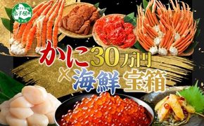 3145. カニ海鮮 宝箱 ズワイガニ タラバ 毛蟹 花咲蟹 帆立 いくら 送料無料 北海道 弟子屈町