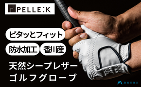 【KURODA】藤巻百貨店別注ゴルフグローブ（全天候型） ファッション小物 