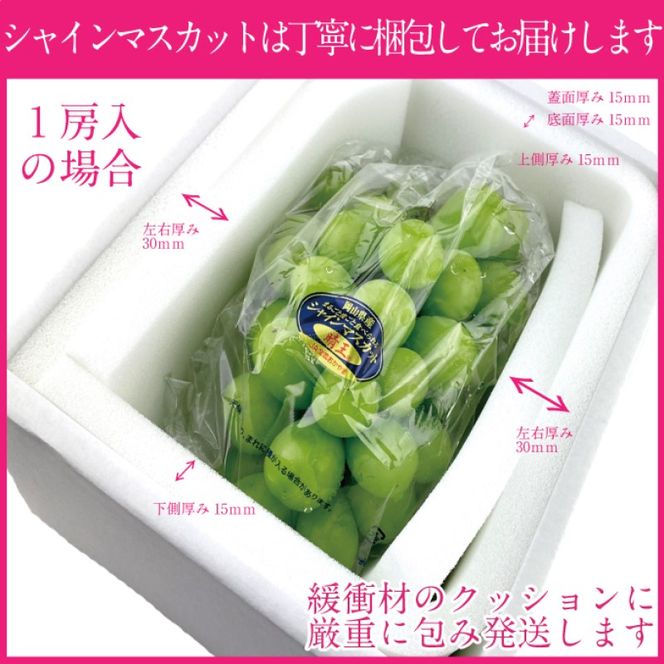 ぶどう 2026年度分 先行予約 【プレミアムシャインマスカット 晴王 1房 約650g】船穂産　赤秀品以上  岡山県産 葡萄 ブドウ ギフト ハレノフルーツ 皮ごと食べる みずみずしい 