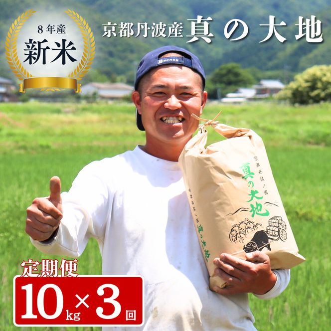 定期便 令和8年産 京都丹波産 コシヒカリ 10kg　3回 京都 お米 米 令和8年 10キロ 新米 新米26