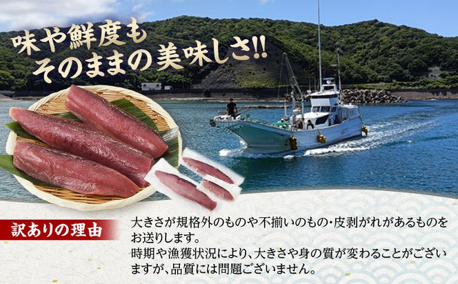 かつお一本釣り漁師が直送！ 日帰り生かつお 訳あり 500g入 304018_DT04