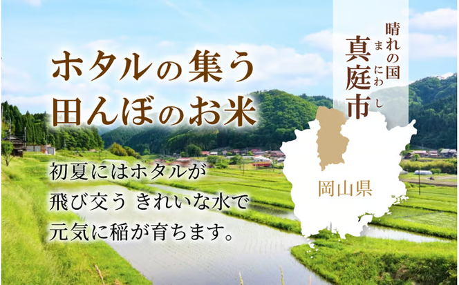 ★配送タイミングを指定できる！ ＜定期便全3回＞ 令和７年産 真庭市産 ひとめぼれ 無洗米 5kg×3回 / お米 岡山県 真庭市 無洗米 米 ひとめぼれ 人気 ブランド米 2025年産 【tkns-tkb007-cho】