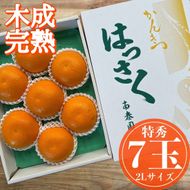 木成完熟 紅はっさく 特秀 大玉 2L × 7玉入 化粧箱 南泰園【2026年4月上旬～発送】 BS778