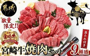 【数量限定】宮崎牛9種盛り焼肉セット_22-3101