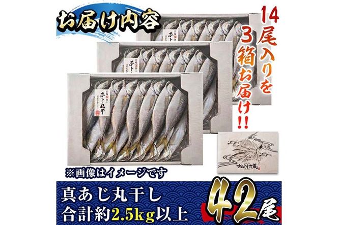 国産真あじ丸干し(計42尾・14尾×3箱：計2.5kg以上)干物 鯵 セット 魚 魚介類 簡単 調理 冷凍【E-21】【水永水産】
