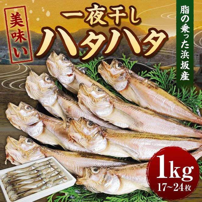 【ふるさと納税】美味い、脂の乗った 浜坂産 一夜干し ハタハタ 1.0kg 17～24枚 はたはた 干物 干し魚 干しハタ 干し物 魚介 1kg おつまみ 惣菜 おかず 国産 冷凍 お取り寄せ 兵庫県 新温泉町 送料無料