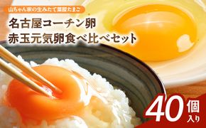 【山ちゃん家の生みたて葉酸たまご】名古屋コーチン卵・赤玉元気卵 食べ比べセット（各20個 合計40個入り）［132Y10］山ちゃん家 生みたて 葉酸たまご 名古屋コーチン卵 赤玉元気卵 食べ比べ セット 各 20個 合計 40個 入り 地鶏 卵 朝食 卵焼き 目玉焼き オムライス ゆでたまご 山田養鶏 お取り寄せ 愛知県 小牧市 送料無料
